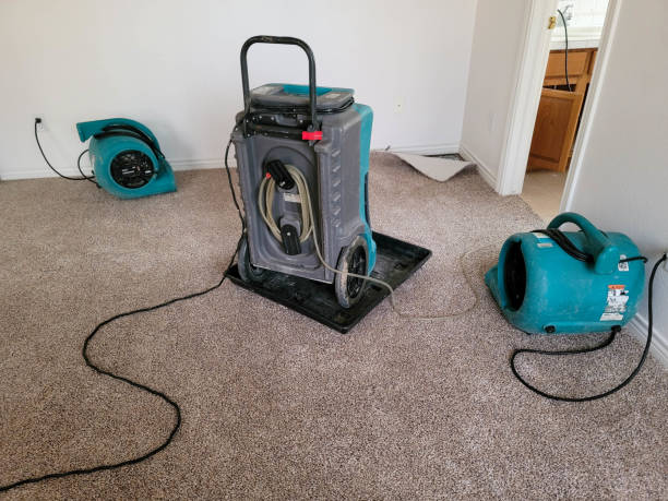 Best Mold removal after water damage  in Grants, NM