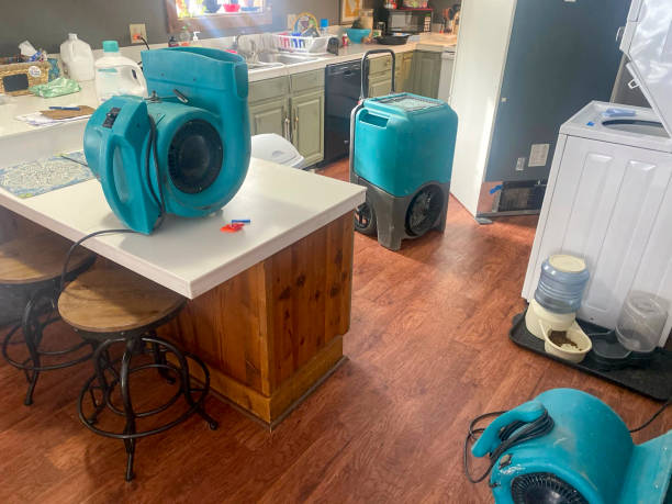 Best Water damage contractors near me  in Grants, NM