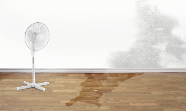 Water damage restoration experts in NM