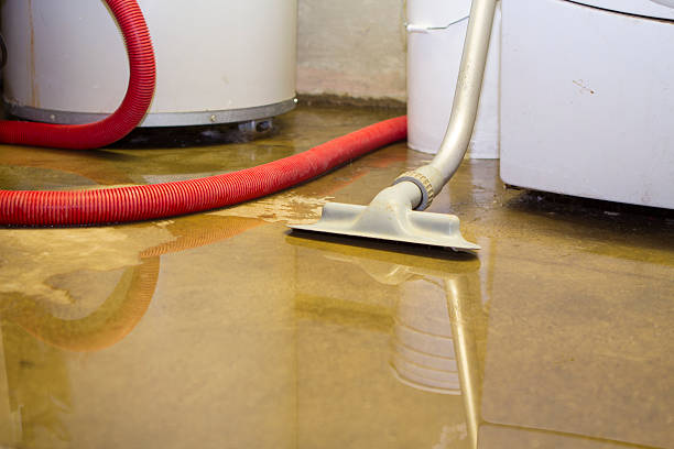  Grants, NM Water damage restoration Pros