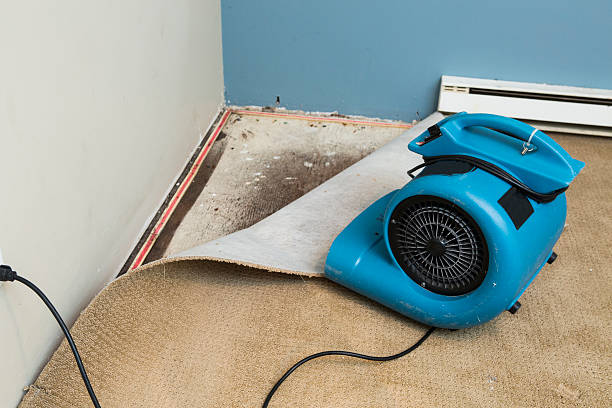Best Residential water damage restoration  in Grants, NM